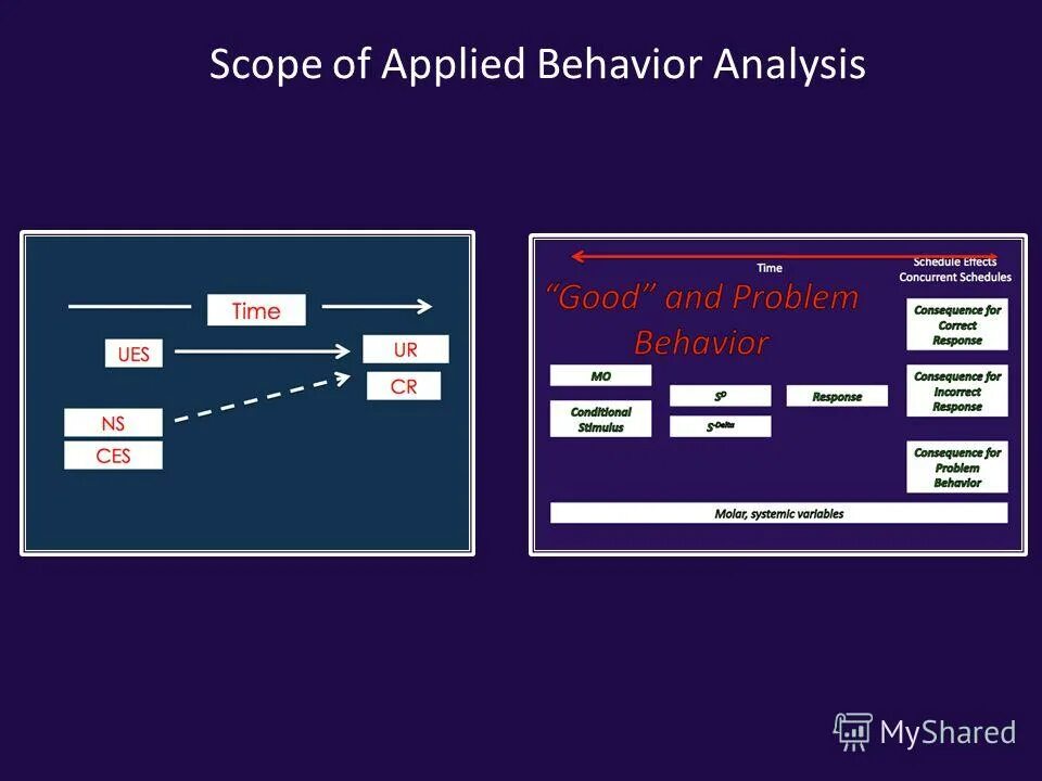 Applied behavior analysis. Low dissipative structural behavior analysis. Наука графики applied behavior analysis. Applied behavior analysis. Прикладной анализ поведения книга john o cooper.