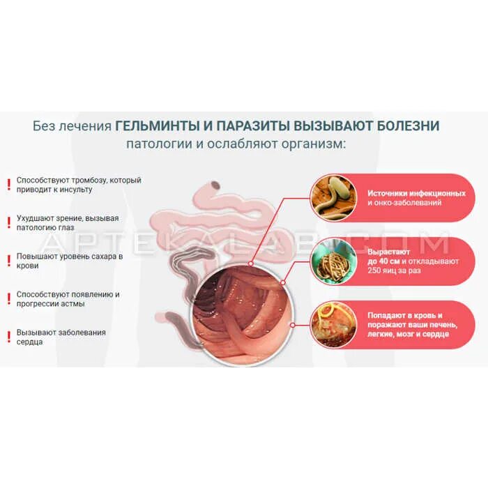 Средства от паразитов в организме. Медикаменты от паразитов в организме человека. лекарство от паразитов в организме. препарат от паразитов в организме человека. таблетки против паразитов в организме человека.