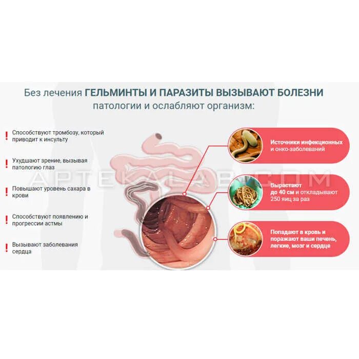 Средство от паразитов в организме. Средство против паразитов в организме человека. Лекарства от паразитов в организме. Очистка организма от паразитов. Очистки организма от паразитов