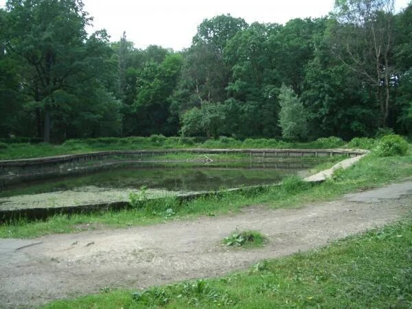 Пруд 1 га. Пруд 1 га. Пруд 1 га. Юрлово платная рыбалка. Парк останкино садовый пруд.