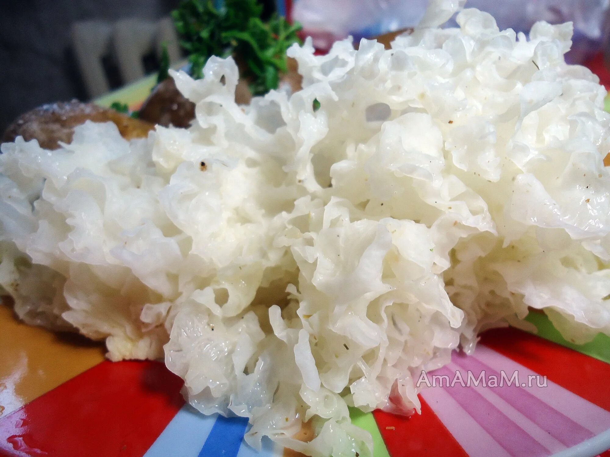 Белая морская капуста