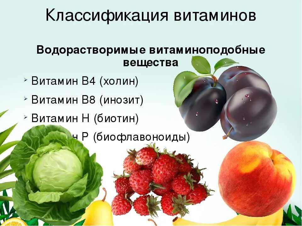 3 водорастворимый витамин. Классификация водорастворимых витаминов. Классификация витаминов таблица. Витамины классификация витаминов. Химическая классификация витаминов.