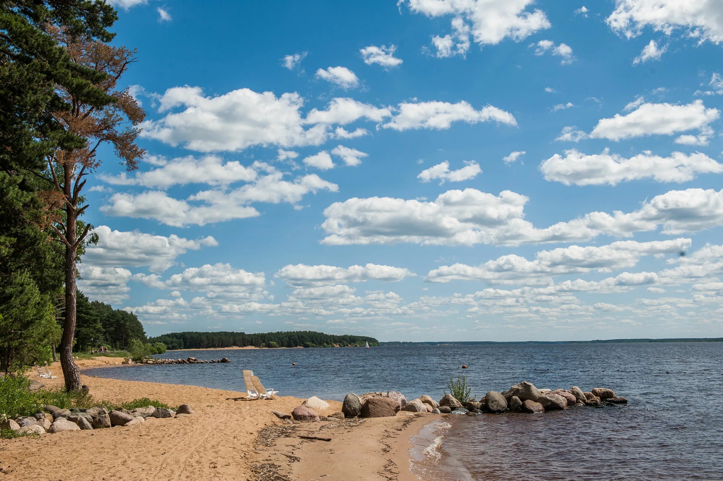 Парк взморье. Коприно Рыбинское водохранилище. Рыбинское водохранилище пляж Коприно. Рыбинское водохранилище бухта Коприно. Остров зеленый Рыбинское водохранилище Коприно.