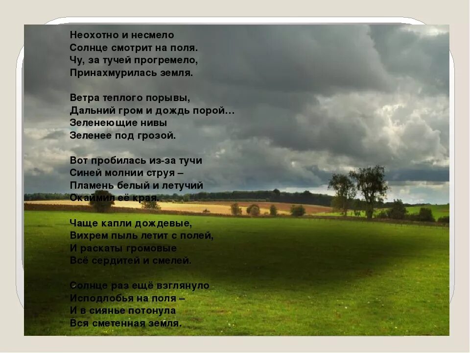 Ф и тютчев неохотно. Ф И Тютчев неохотно и несмело. Стих неохотно и несмело Тютчев. Стихотворение охотно и несмело. Стихотворение Тютчева неохотно и несмело.