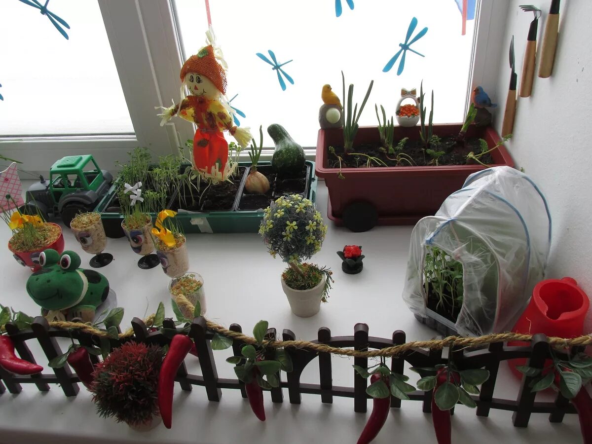 Конкурс сад на окне. Огород на окне в детском саду. Огород на окошке в детском саду. Огород на подоконникав детском саду. Огород на подоконнике в детском.