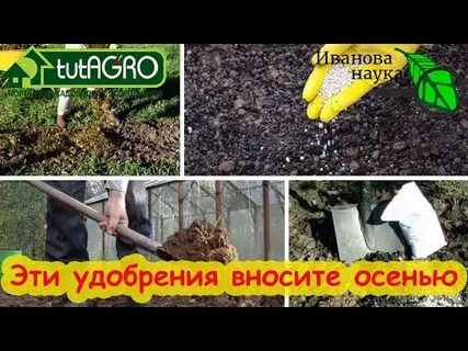 Удобрение под перекопку огорода