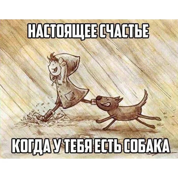 Час в добре поживешь все горе забудешь. Жизнь иллюстрация. забавные события рисунки. счастливый человек иллюстрация. счастливый кот рисунок.
