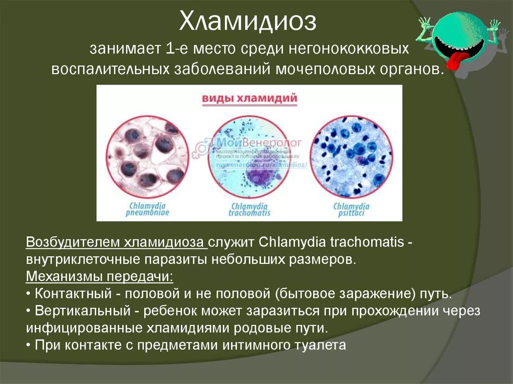 Хламидии формы. Хламидии возбудитель хламидиоза. Хламидии - возбудители урогенитальных инфекций. Хламидии микробиология заболевания. Резервуар инфекции хламидии.