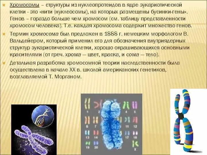 Использование генетического материала. Использование генетического материала