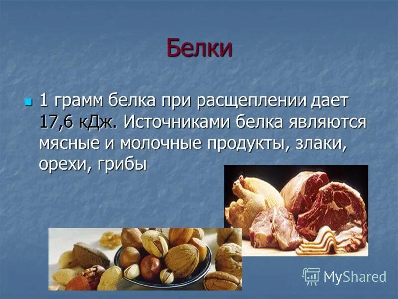 источником полноценного белка являются продукты