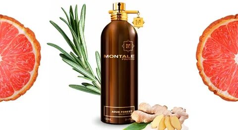 Montale aoud forest