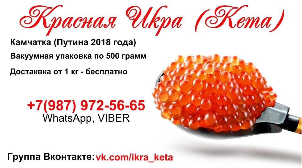 Реклама красной икры. Красная икра надпись. Объявление продажа икры красной. Икра реклама акция.