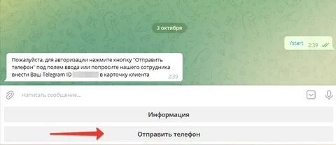 Телеграм проверяют