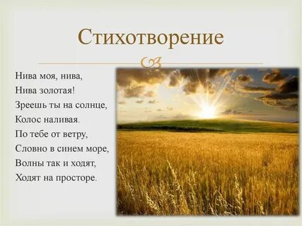 Уж ты нива моя нивушка не скосить