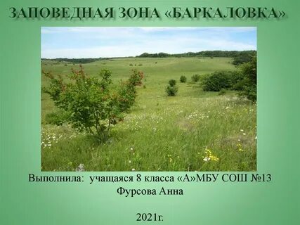 Заповедная зона