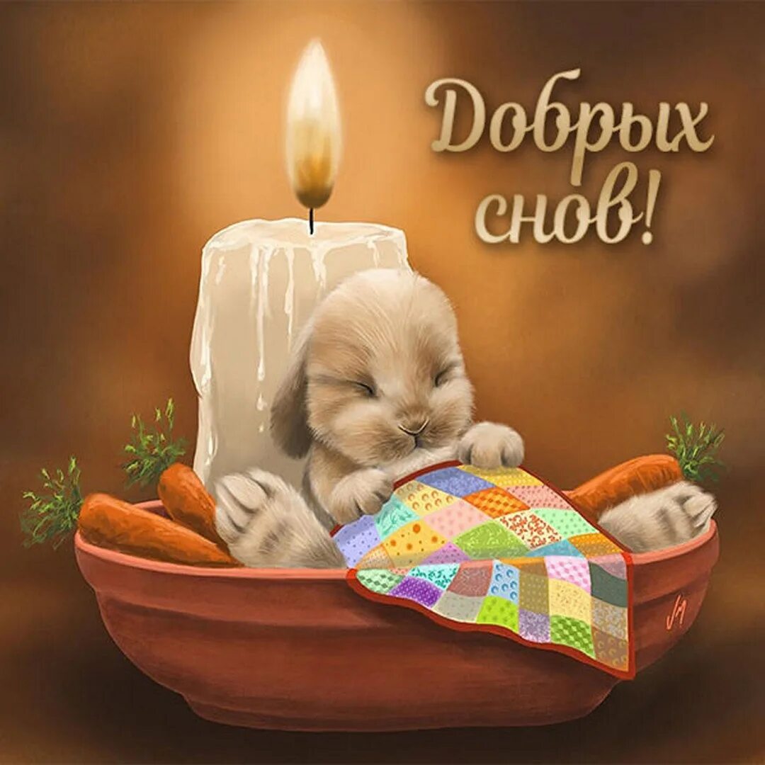 Собачка спит. Спящие котята. Сладких снов с животными. Доброй ночи сладких снов. Пожелания сладких снов.