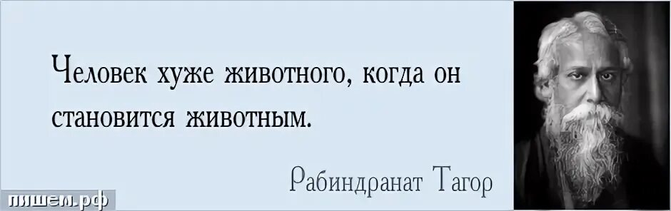 Человек хуже животного цитаты. Люди хуже животных цитаты. Почему люди хуже животных. Нет страшнее животного чем человек. Почему люди хуже животных.