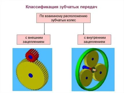 Зубчатые состоят из
