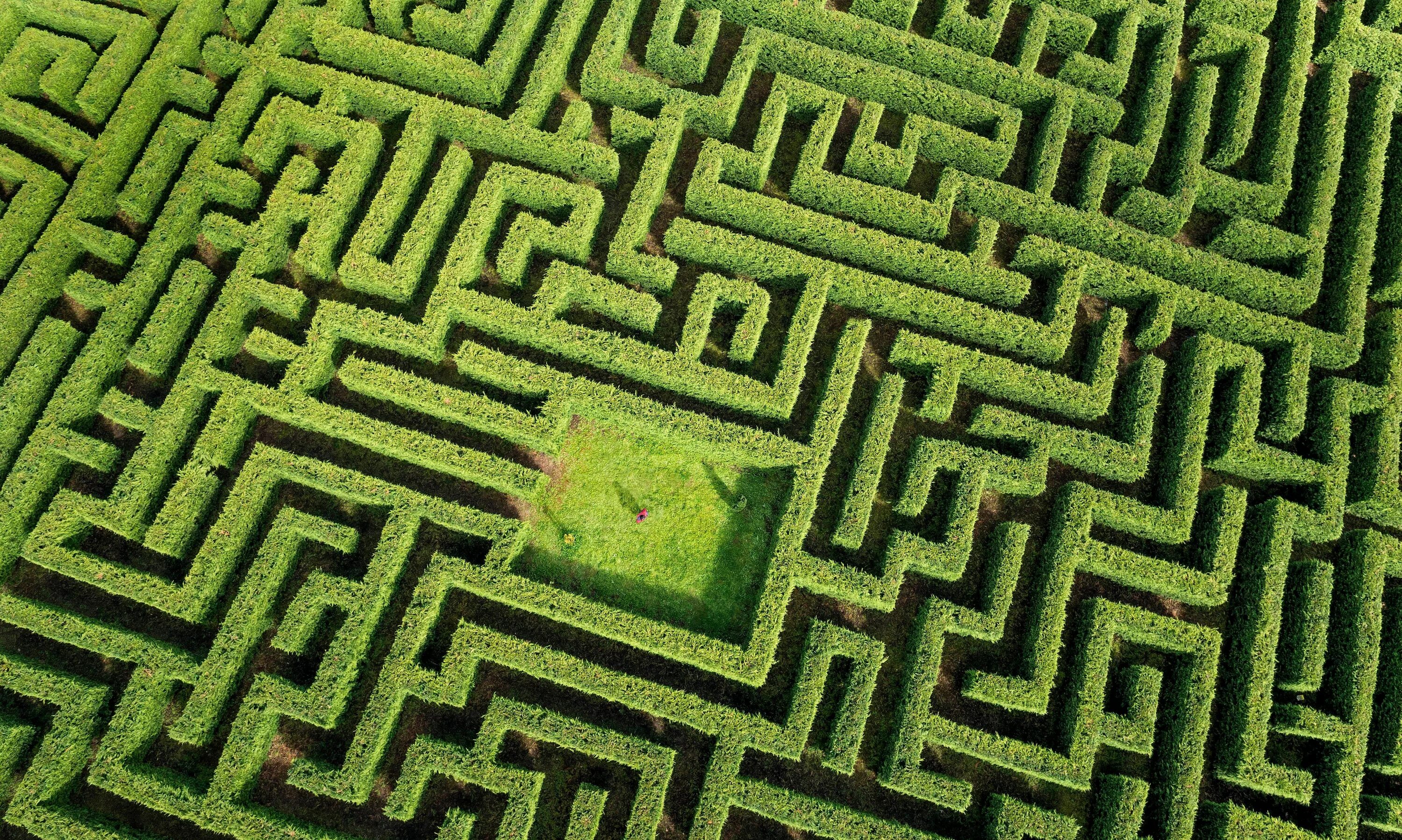 Reignac-sur-Indre Лабиринт. Лабиринт Лонглит (Longleat Hedge Maze), Англия, Великобритания. Лабиринт Ashcombe Maze. Лабиринт из зелени.