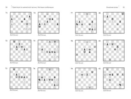 Купить: Практикум по шахматной тактике. Матовые комбинации. Двойной удар. Связка