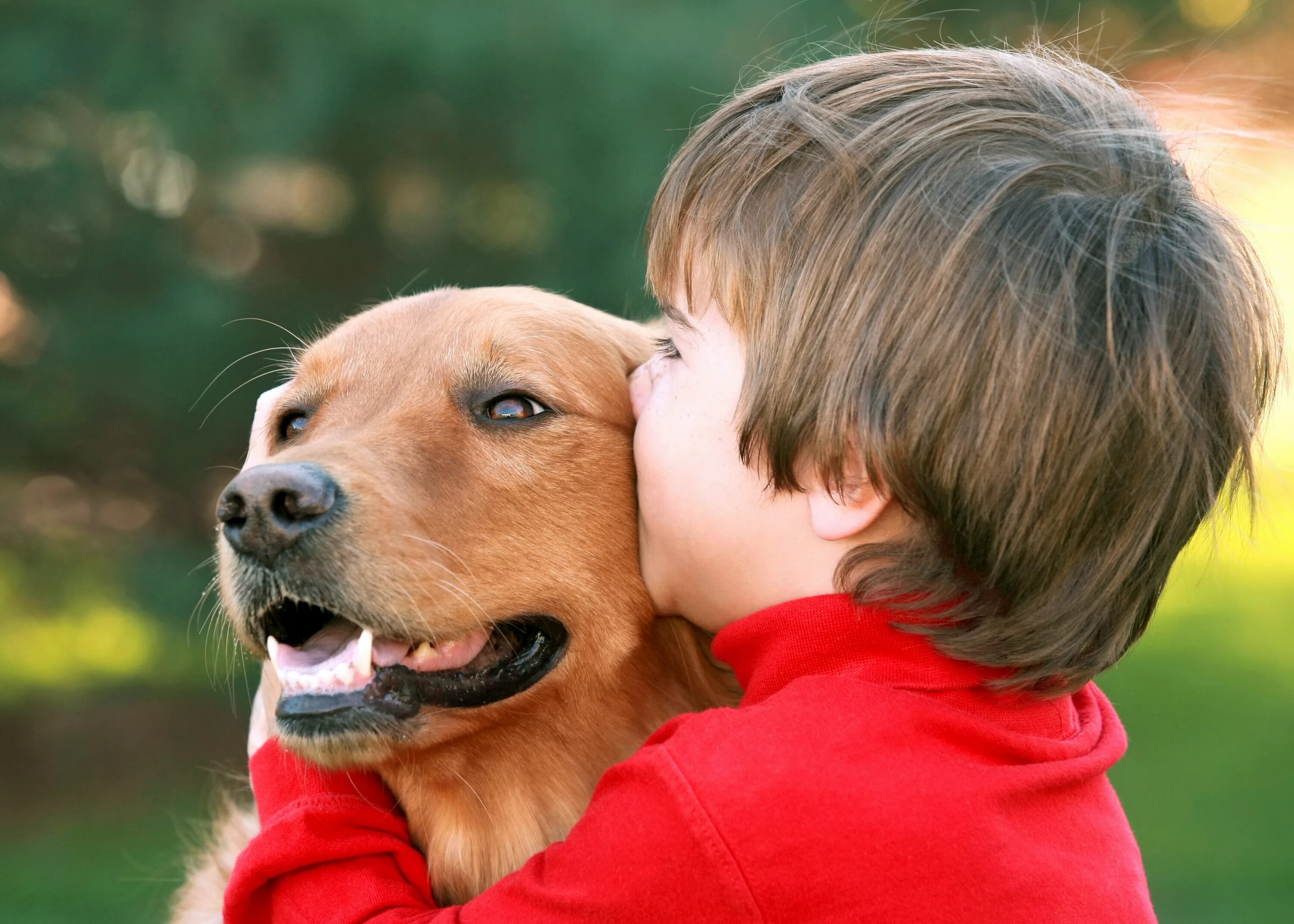 My pet dog has a. Собака друг человека. Домашние животные для детей. Люди и животные. Собака для детей.