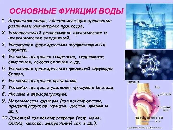 Основная роль воды