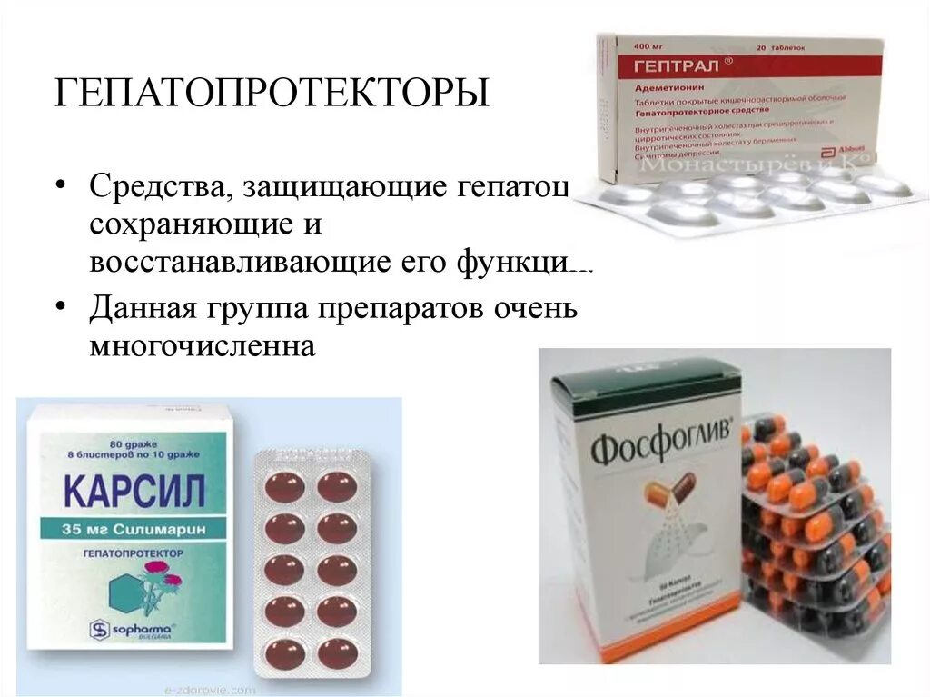 Гепатопротекторы лечение. Гепатопротекторы, ферментные препараты. Гепапротекторные препараты для печени. Гепатопротекторы ЛРС. Растительные гепатопротекторы с доказанной эффективностью.