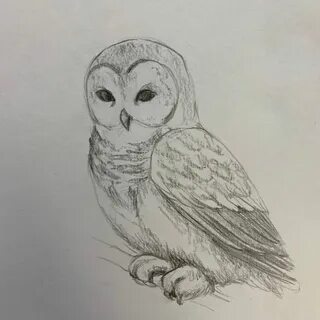 Рисуем сову видео