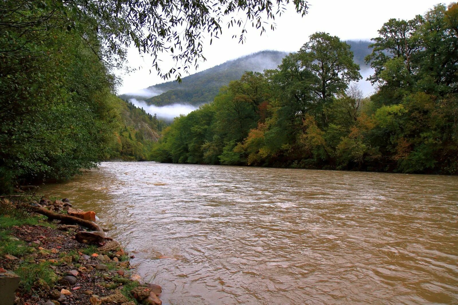 White river. Река Кубань Адыгея. Река белая Кубань. Река белая Майкоп. Речка белая Краснодарский край.