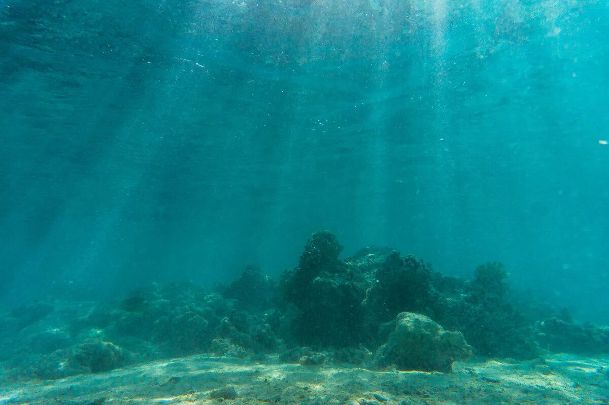 Картинка на дне моря. Море глубина. Море под водой. Дно океана. Океаны. Глубина.