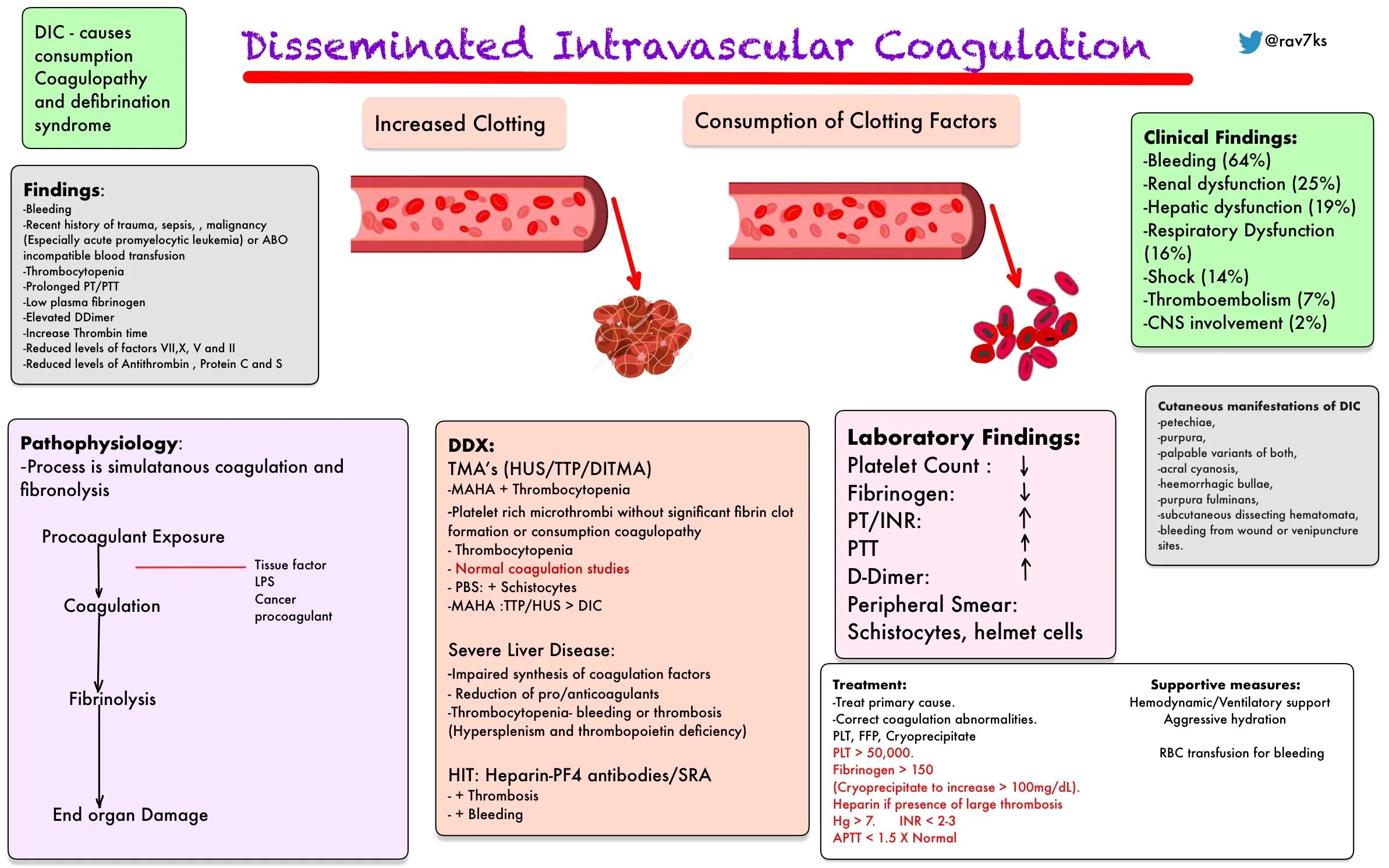 Disseminated intravascular coagulation Syndrome. Blood coagulation. Dic Syndrome pathogenesis.