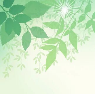Spring leaves
