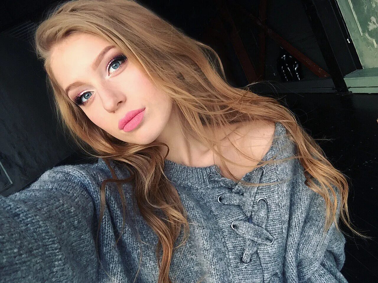 Полин дубков. Полынь горькая (artemisia absinthium)परव. Полин дубков. Полин дубков. Полин дубков.