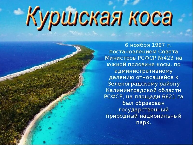 Сообщение про куршскую косу