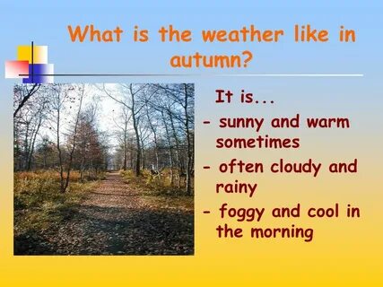 1 what was the weather like