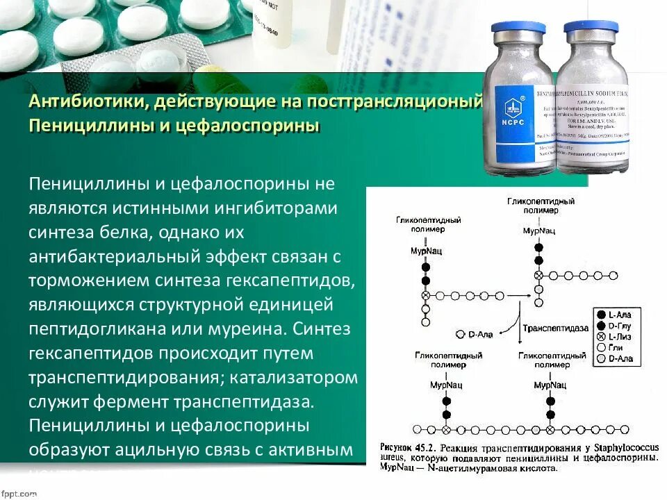 Антибиотики группы пенициллина механизм действия. Антибиотики группы пенициллинов механизм действия. Механизм действия антибиотика пенициллина. Антибиотики цефалоспорины пенициллиновые. Механизм пенициллинов