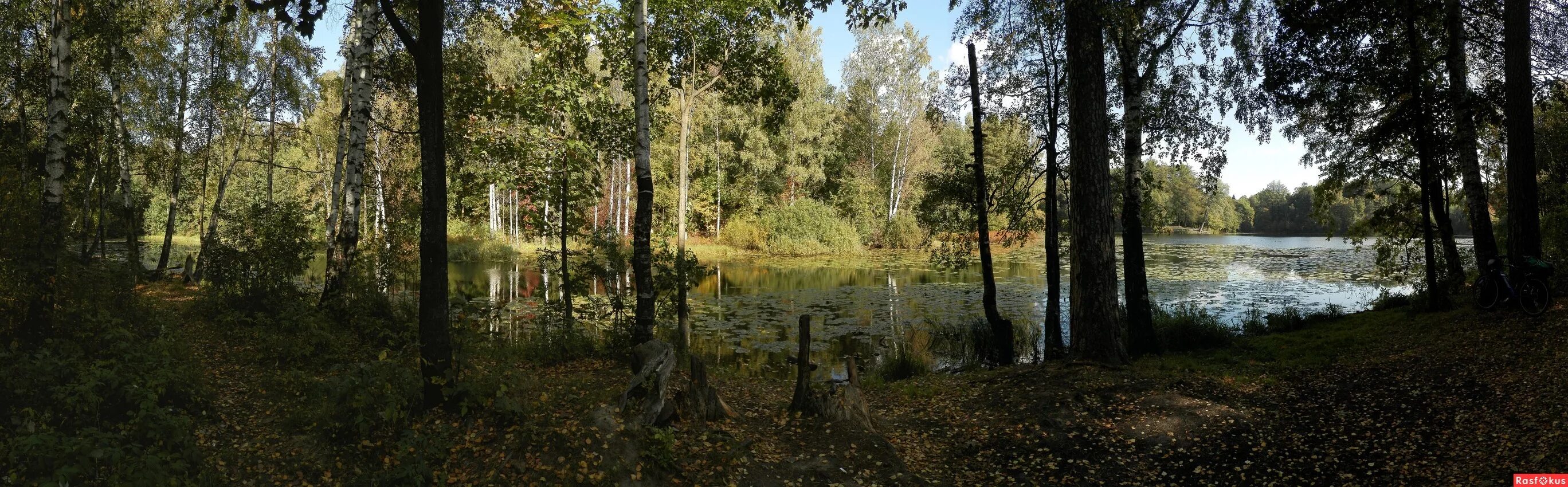 морфологический разбор. озеро морфологический. морфологический разбор начальная форма имени существительного. морфологический разбор слова озеро 3 класс. анализ морфологического разбора существительного.