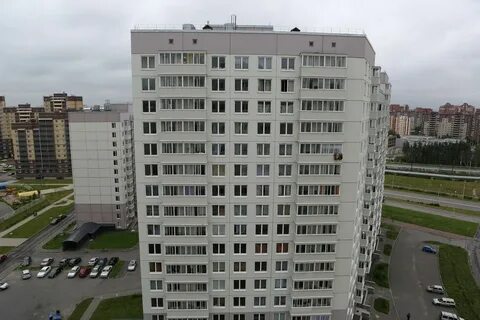 Спб социальное