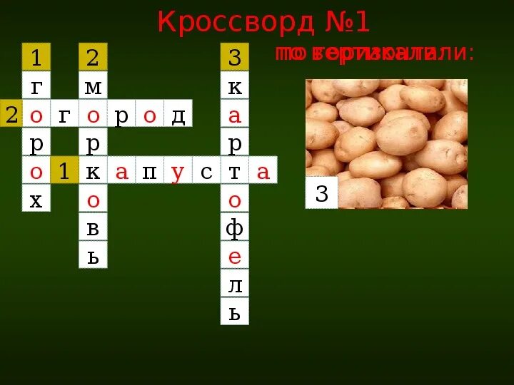 Кроссворд на тему растения. Огородное растение сканворд. Кроссворд овощи и фрукты для детей. Кроссворд про растения 3 класс. Кроссворд фото.