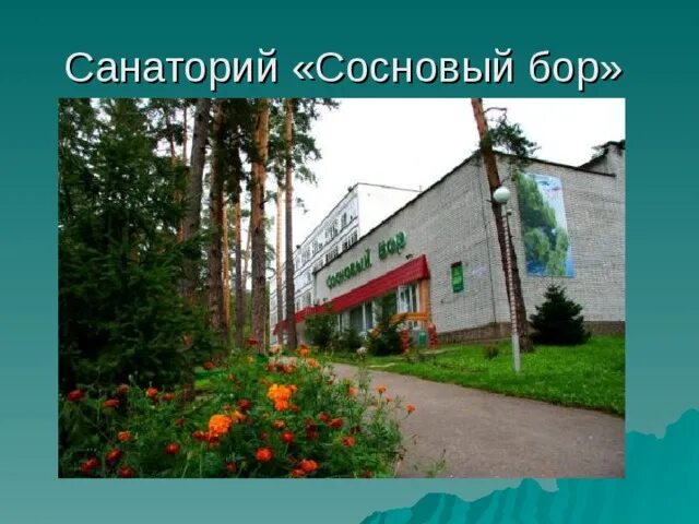 Санаторий Сосновый Бор Курск. Санаторий Сосновый Бор Пенза. Санаторий Сосновый Бор Калуга. Сан Сосновый Бор Кировская область. Сайт санатория калуга бор калуга