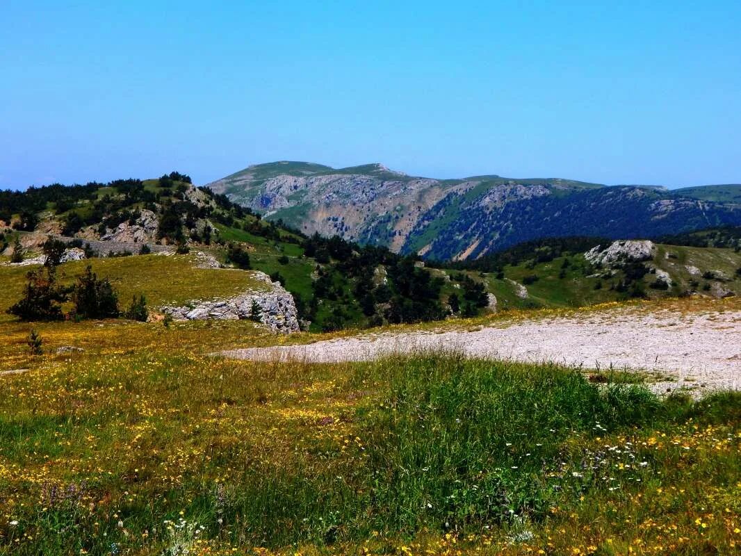 Крымский природный заповедник. Алуштинский заповедник. Границы Алуштинского заповедника. Русская гора фото. Крымские этюды фото.