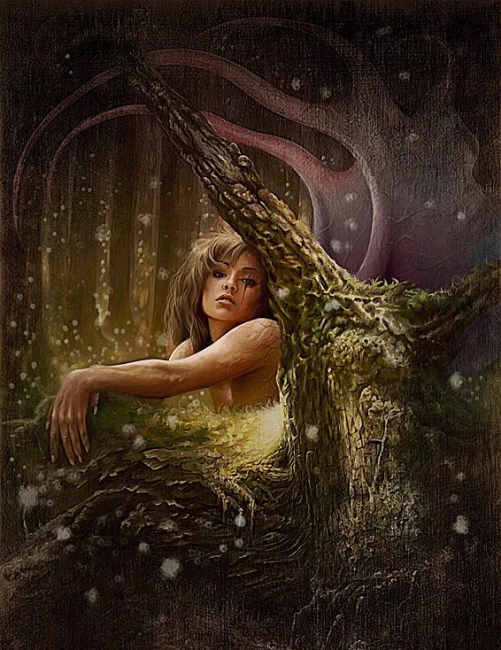 Читать нимфа. Нимфа лотис. фэнтези нимфы. феи мифология. лесная дева.