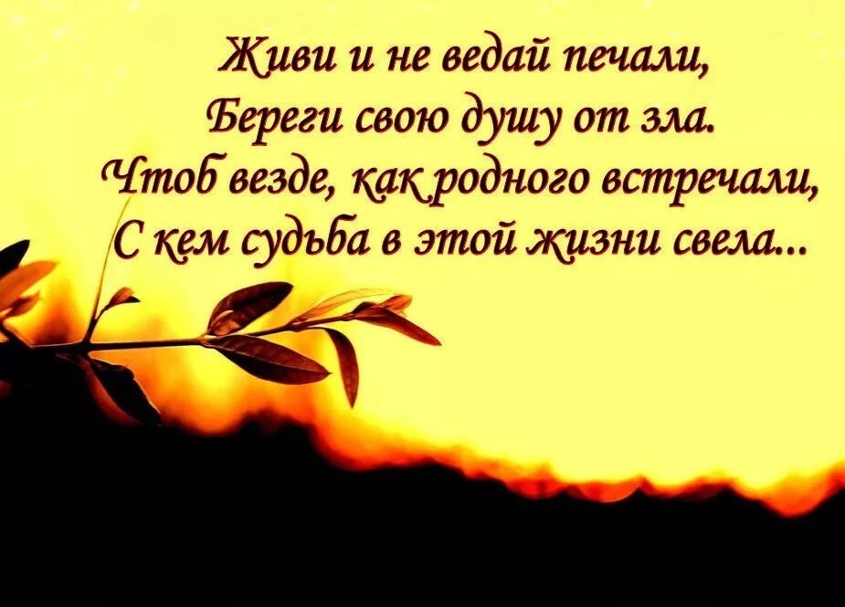 Пожелание беречь себя. Фразы берегите себя. Берегите свою душу стихи. Берегите себя цитаты.