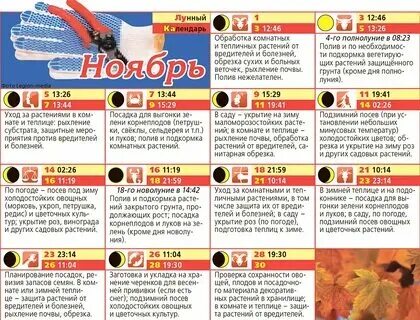 Лунный календарь полива растений Images ЛУННЫЙ КАЛЕНДАРЬ ПЕРЕСАДКИ ОРХИДЕИ
