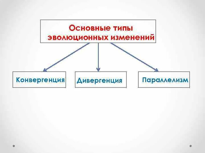 Формы эволюционных изменений. Типы эволюционных изменений. Основные типы эволюционных изменений. Дивергенция конвергенция параллелизм. Типы эволюционных изменений дивергенция конвергенция.