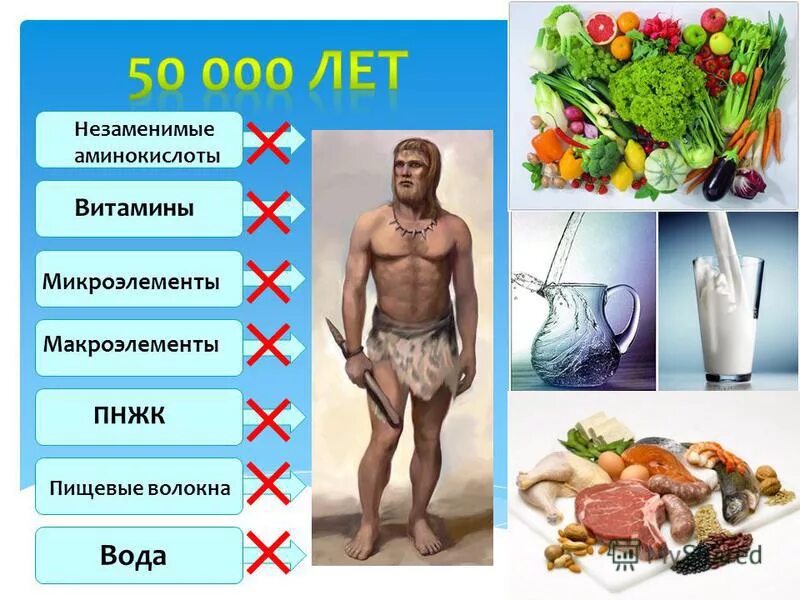 Аминокислоты в организме. Аминокислоты полезные для кожи. Незаменимые аминокислоты в продуктах питания. Аминокислоты в растительной пище таблица. Роль незаменимых аминокислот в организме человека.
