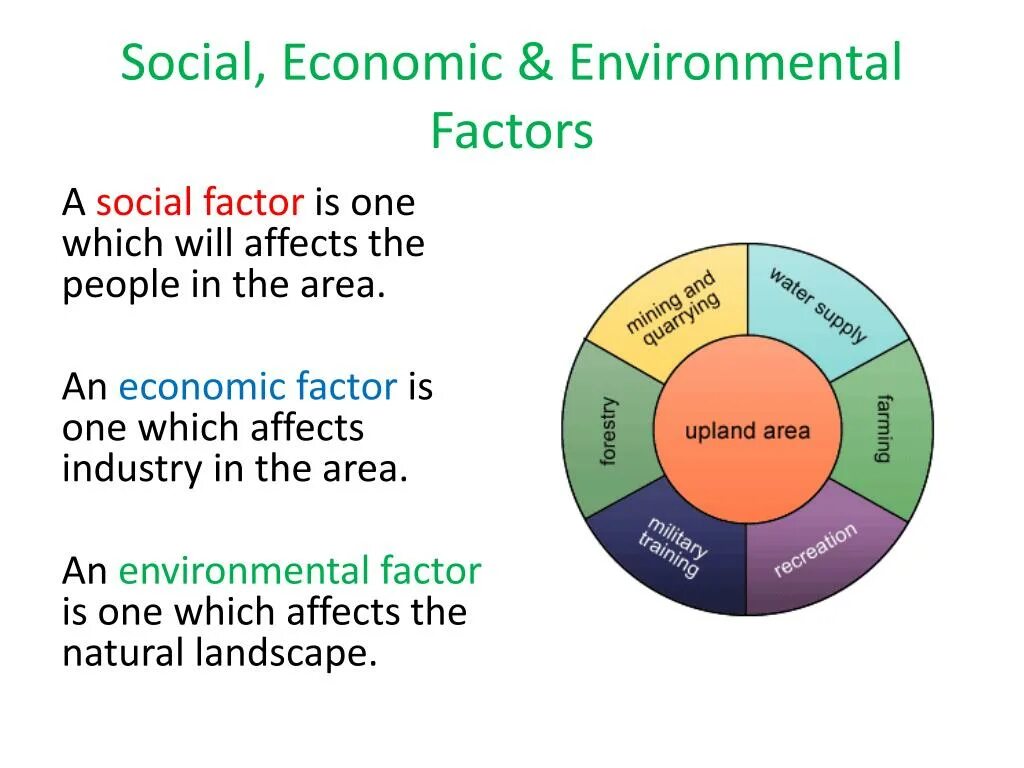 Economic society