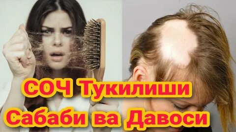 Соч подали