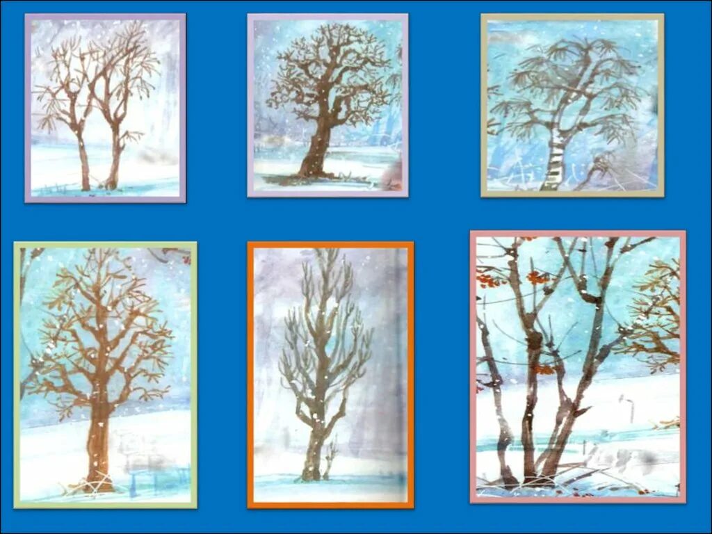 Картотека прогулок в детском саду. Тема недели деревья кустарники зимой старшая группа. С. Деревья и кустарники старшая группа. Зимние деревья и кустарники.