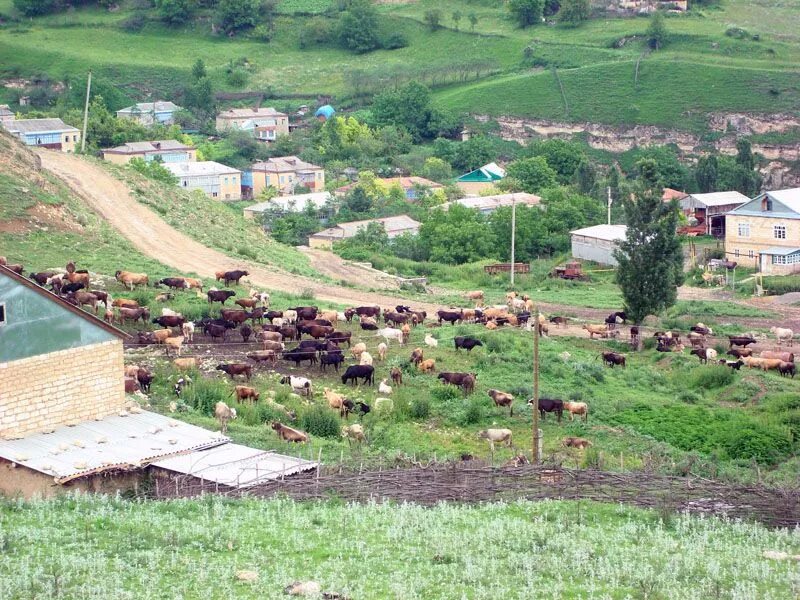 Селение куг. Селение куг. Архит село в дагестане. Селение куг. Дагестан село канциль.